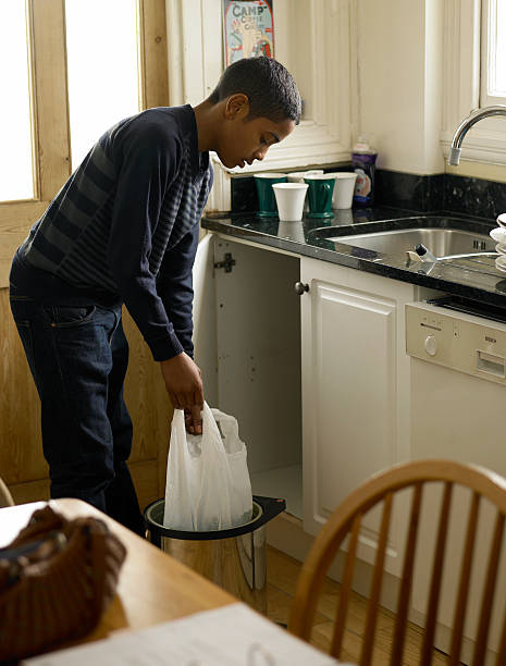 Attic Cleanout Services in Springfield, OR